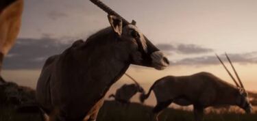 El Rey León y 10 semejanzas entre ‘live action’ y dibujos animados