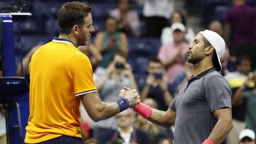 Juan Mart&iacute;n del Potro saluda a Fernando Verdasco. 