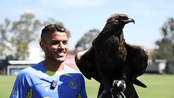 América promueve el Día Internacional del Águila Real
