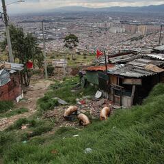 Ingreso Solidario: cómo saber si lo cobraré en marzo