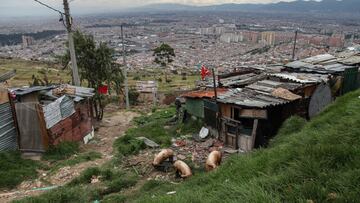 Hogares pobres en Bogotá que reciben el Ingreso Solidario.