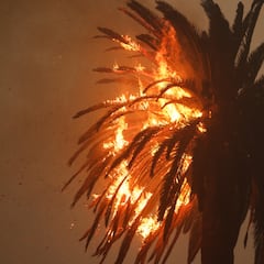 Wildfire erupts in the Hollywood Hills, prompting urgent evacuation orders