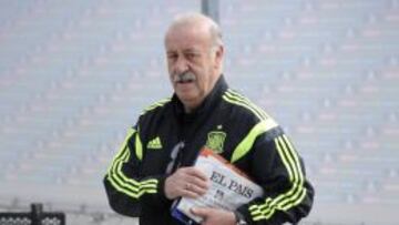 Vicente del Bosque