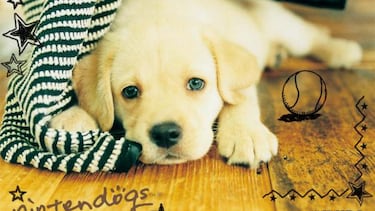 ¿Triunfaría Nintendogs en Smartphones?