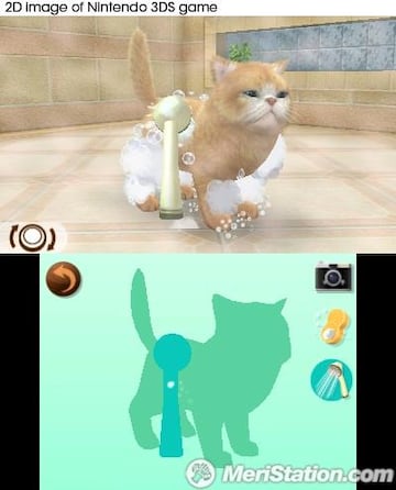 Captura de pantalla - nintendogs_bathingcat_uk_all_languages.jpg