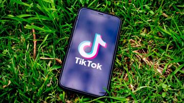 TikTok: Para qué sirve la nueva pestaña 'Learn'