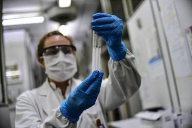 Así es la variante G614 del SARS-CoV-2: más infecciosa pero menos agresiva