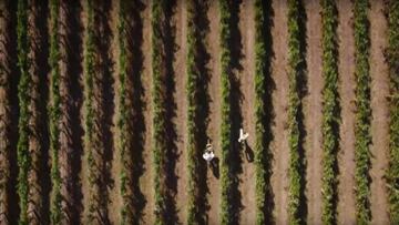 Alonso y Button en mitad de la carrera.