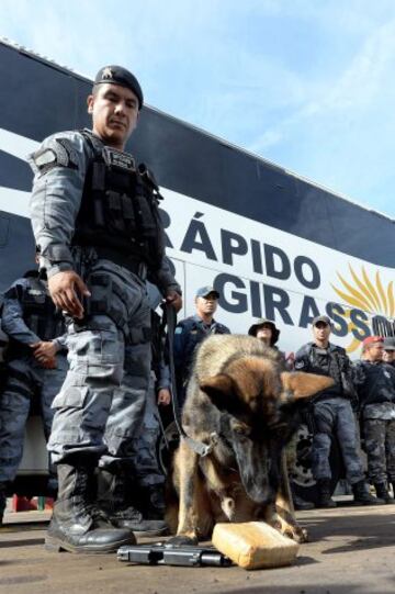 Tres meses antes de la Copa del Mundo de la FIFA, la Policía Militar de Brasilia prepara a los perros que trabajarán en la seguridad del evento, en Brasilia. 23 animales están siendo entrenados para detectar explosivos, drogas y armas. Los perros realizarán entrenamiento en autobuses similares a los utilizados por las delegaciones de los países participantes en Brasil 2014.