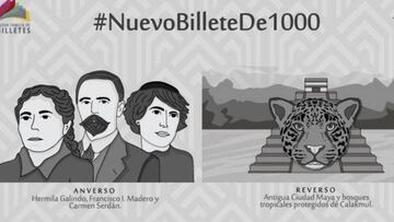 Así será el nuevo billete de mil pesos