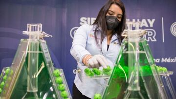 Resultados Lotería Nacional Chispazo hoy: ganadores y números premiados | 27 de julio