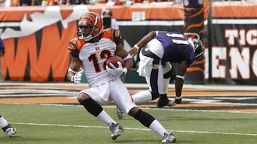 El receptor participó de 2009 a 2012 en la NFL con los Cincinnati Bengals, Denver Broncos, Indianapolis Colts y Jacksonville Jaguars. Antes de eso, jugó cuatro temporadas en Ligas Menores con Los Angeles Angels.