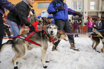 Acto ceremonial del comienzo de la carrera de trineos con perros que se celebró el pasado sábado en Anchorage, Alaska.