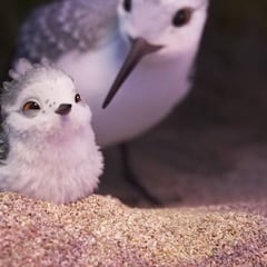 Piper gana el Oscar al mejor cortometraje de animación