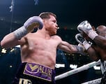 Saúl ‘Canelo’ Álvarez a Berlanga: “Haré que sienta dolor”