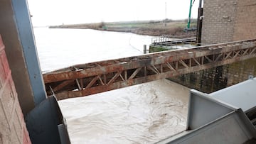 Crecida del río Guadalquivir a su paso por el pueblo sevillano de Cantillana. A 06 de febrero del 2026 en Coria (Sevilla). España. Riesgo de inundación "ante una eventual crecida" del Guadalquivir en la localidad de Cantillana, debido a la borrasca Leonardo.
06 FEBRERO 2026
Rocío Ruz / Europa Press
06/02/2026