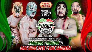 Este es parte del cartel que integrará Fantasticamanía México.