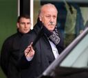 Vicente del Bosque irá a Catar con los que llevará a París