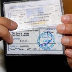 Licencia de conducir: cómo renovarla si se me venció y requisitos