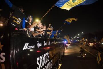 Los jugadores de Tigres celebran.