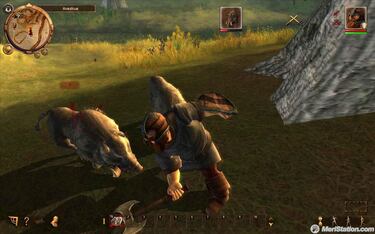 Drakensang: The Dark Eye, Impresiones