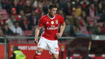 El delantero serbios surgió de las categorías inferiores del Estrella Roja de Belgrado, club en el que se convertiría en el jugador más joven en debutar, superando a otro mito del fútbol serbio, Dejan Stanković. Desde allí saltó al Benfica, por 6.6 millones de Euros. Pese a haber disputado únicamente 4 partidos con el primer equipo del Benfica su cesión en el eintracht de Frankfurt le convirtió en uno de los delanteros más cotizados de Europa, por lo que el club alemán decidió activar su opción de compra, reportándole a los de la capital portuguesa 22.3 Millones de Euros.