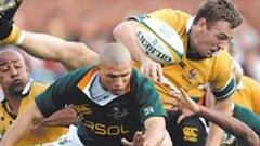 El 'presunto Gregan' se la juega en el derbi del Mar de Tasmania