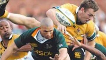 <b>CULPABLE. </b>Gregan ha sido culpado de la derrota aussie en Pretoria.