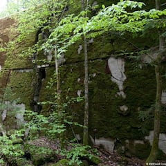 Encuentran cinco cadáveres en la casa de Hermann Göring, mariscal con Hitler