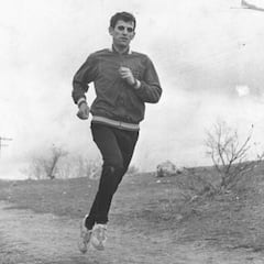 Mariano Haro, "el León de Becerril"