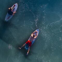 Ataques de tiburón en el mundo: surf y Florida, principales víctimas
