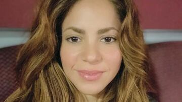 Shakira se enfrenta a unos jabalíes: "Me han reventado todo"