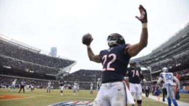 Así son las tripas de los Bears