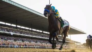 Kerr compara a LeBron con el caballo más famoso de EE.UU.