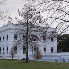 What is “safe harbor” day and why is it important in election results?