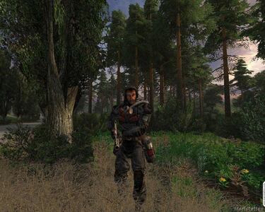 Contempla Stalker en movimiento