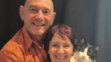 La historia de Filou, el gato que recorrió 250 km por Cataluña para volver al otro lado de la frontera: “Es increíble”