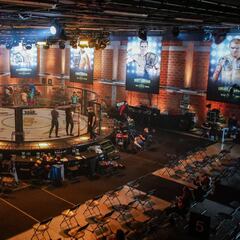 Las MMA empiezan a despertar