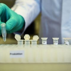 Linfocitos T: la gran esperanza contra las nuevas cepas de COVID