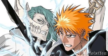 Bleach Wii, Impresiones