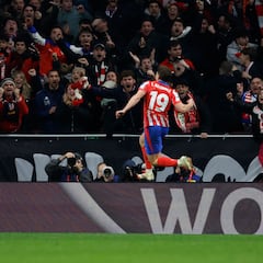 ¡Qué grande puede ser una araña!