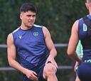 DT de Udinese abordó la lesión de Alexis y dio plazos para Pizarro