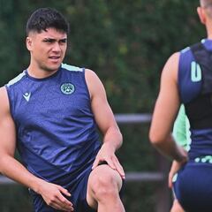 DT de Udinese abordó la lesión de Alexis y dio plazos para Pizarro