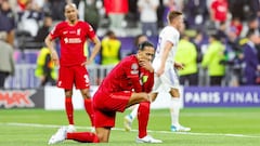 El incumplido sueño blanco de Van Dijk