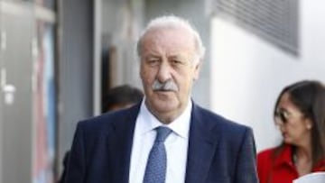 Vicente del Bosque