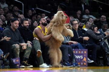 El Crypto.com Arena tuvo en el duelo entre los Lakers y los Knicks a un famoso muy especial: Brodie, el perro con más de un millón de seguidores en Instagram, se sentó en primera fila para animar a los púrpura y oro. La expectación que creó fue tal que hasta los comentaristas dejaron de narrar el duelo para centrarse en él.