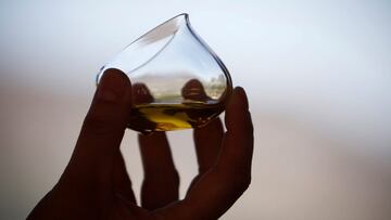 Advertencia de Gonzalo Bernardos sobre el precio del aceite de oliva