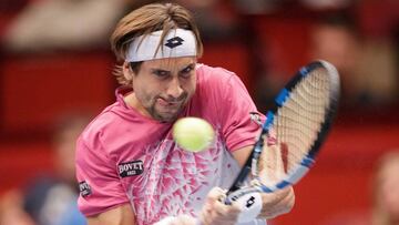 David Ferrer, en el partido contra Sousa. 