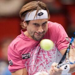 Ferrer y Ramos siguen en Viena y Granollers pasa en Basilea