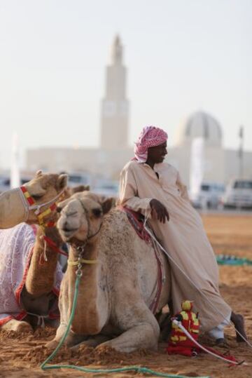 Se celebró en Dubai la Al Marmoom Heritage Festival, un acontecimiento que promueve el deporte tradicional de la carrera de camellos en la región. Los participantes lo hacen a través de un jinete robótico con control remoto. 